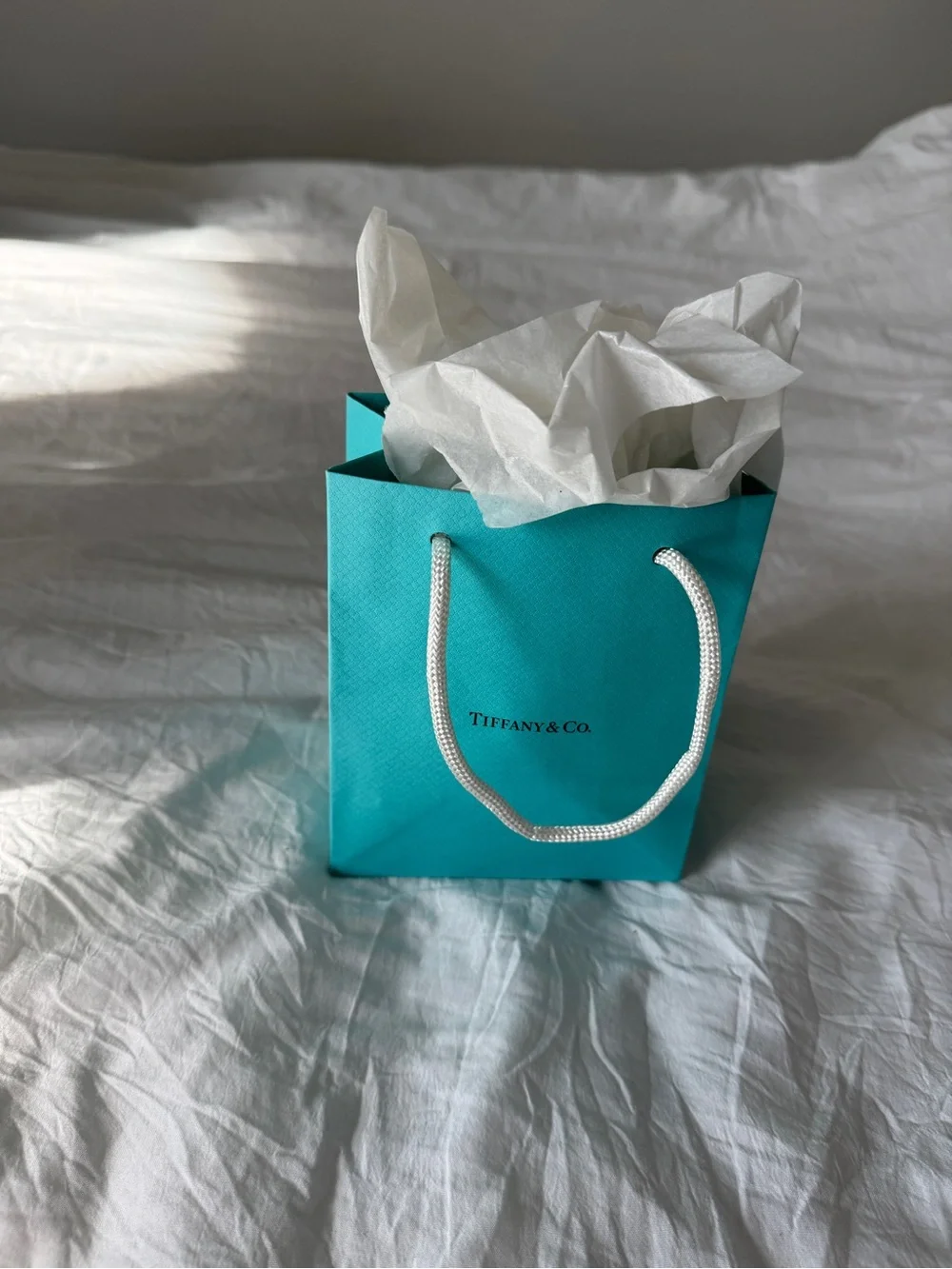 Tiffany & Co. charming tiffany